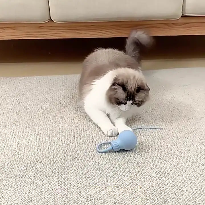 Magic Tail.