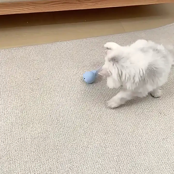 Magic Tail.