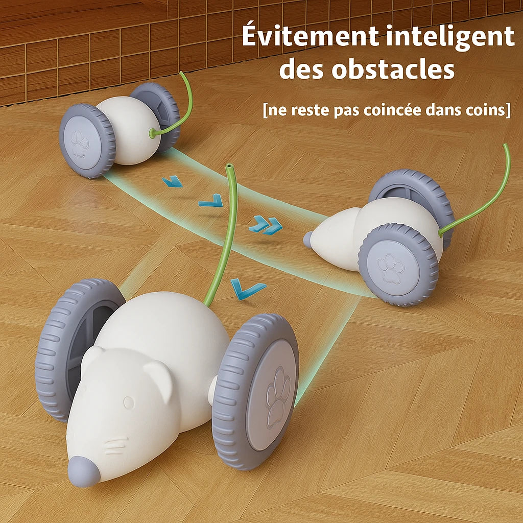 Souris Électrique Interactive pour Chat – Jouet Automatique et Intelligent