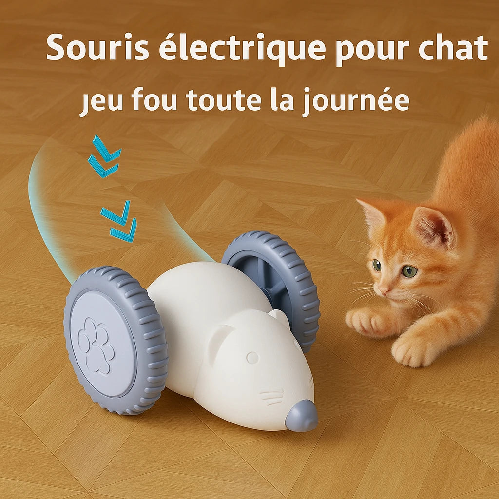 Souris Électrique Interactive pour Chat – Jouet Automatique et Intelligent