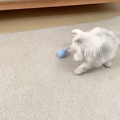 Magic Tail.