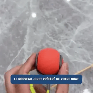 Jouet interactif pour chat Petizio™ – Balle électrique rechargeable USB, stimule l’instinct de chasse