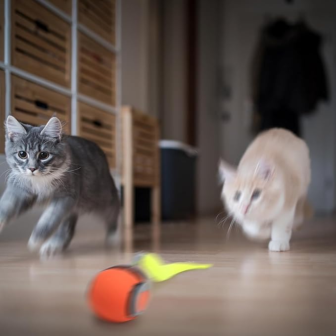 Balle Mobile, interactive et intelligente - Jouet pour Chat