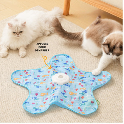 jouet tapis pour chat d'interieur 